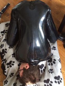 lanxpup:  mdshaven:  Manic pup in Sirs Lanxs stocks, :d sir used