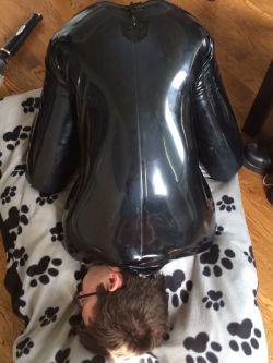 lanxpup:  puploki:  This would be the lovely @pupgizmo  Is my