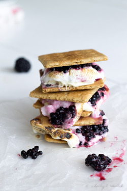 foodishouldnoteat:  Blackberry white chocolate s’mores
