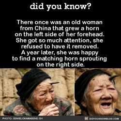 did-you-kno:    Happy October! Today is Older Peoples Day and