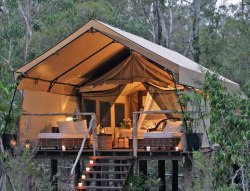 Inspirational interlude (glamping in Paperbark Camp, Jervis Bay,