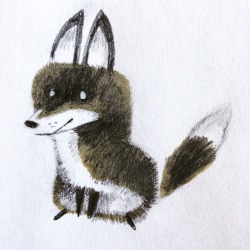 sketchinthoughts:  fox fox fox 
