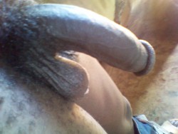 Master Alfred from Kenya submitted these pics.PRAISE BIG BLACK