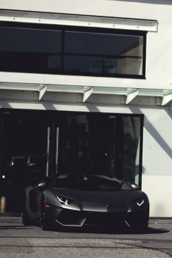 mistergoodlife:  The Dark Knight. | Mr. Goodlife