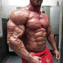 whitepapermuscle:Mattia Vecchi