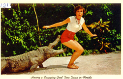 atomic-flash: Having a Snapping Good Time Down In Florida - postcard