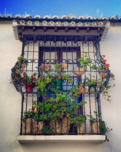 travelingcolors:  Balconies of Ronda | Spain (by Nacho Coca)Follow