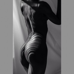 neilsnape:From straight to curves light always follows a direct