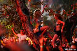 i-love-summer-festivals:  Rudgrcom-UMF13-02-0276-1600px by Rudgr