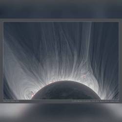 Detailed View of a Solar Eclipse Corona #nasa #apod #sun #star