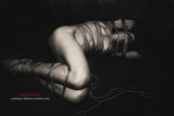 redrope-shibari:  ropes & foto: redrope https://www.facebook.com/red.rope.14,
