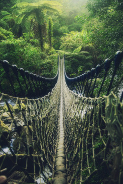 lori-rocks:  Begin to adventure, the suspension bridge, Taiwan,