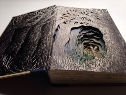 itscolossal:  Old Books Transformed into Imaginative 3D Illustrations