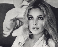 simply-sharon-tate:Sharon Tate by James Silke, 1968