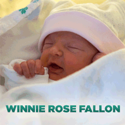 latenightjimmy:  Introducing: Winnie Rose Fallon in her very