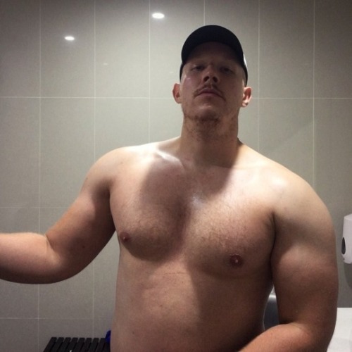 max14me:       The Clydesdale Cub showin’ his stuff again…. 