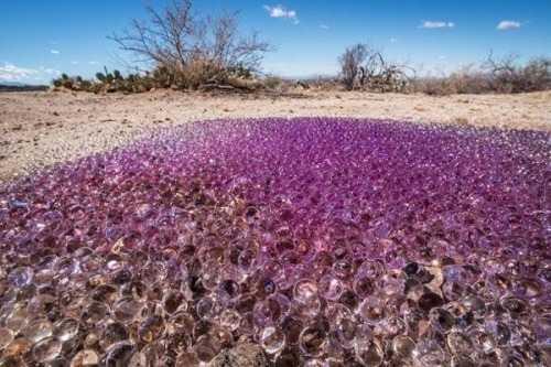 What. In. The. Hell … ?? On 08 February 2013, Geraldine Vargas and her husband were walking through the desert near their home in Tucson, Arizona, when they came across a phenomenon that, so far, has completely baffled scientists. They discovered