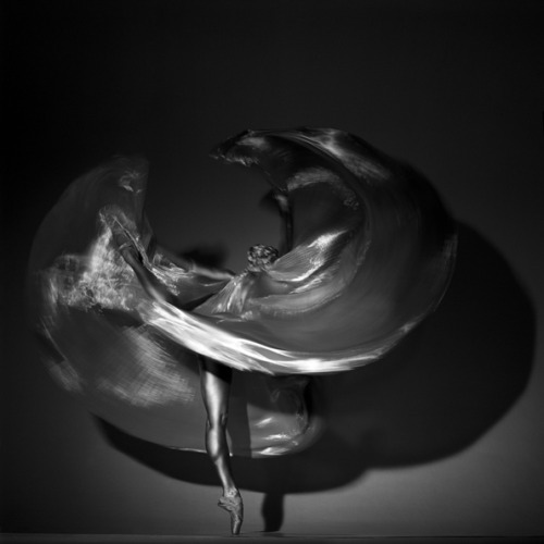 (via SILVER | Guido Argentini Photography)