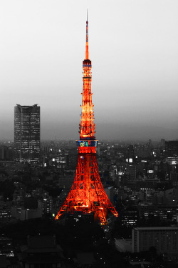 Photo Torre  @weheartit.com http://whrt.it/10ima25