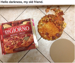 spookypancakelord:  gnumblr:  This is the most emotional post