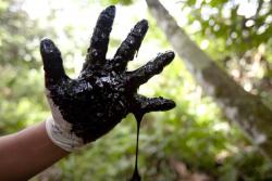 nativeamericannews:  Indigenous in Ecuador Struggle to Get Chevron