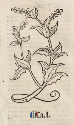 lindahall:  Plants from Jacobus Meydenbach, Hortus Sanitatis,