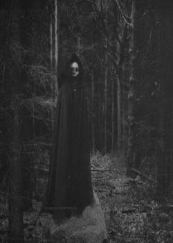 Tenebris Pulcher