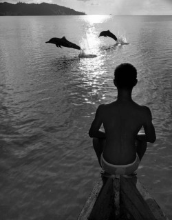 joeinct:  Dolphins, Seychelles, Photo by Gian Paolo Barbieri,