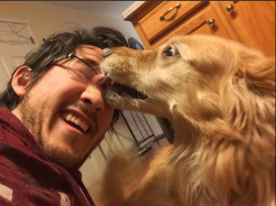 inyoursocks:  everyone should love dogs as much as Markiplier