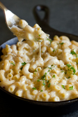 everybody-loves-to-eat:  three cheese stovetop macaroni 