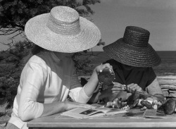 ozu-teapot: Persona | Ingmar Bergman | 1966 Liv Ullmann, Bibi