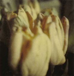 loralain:  Cy Twombly, Tulips, Rome 1985 