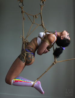 bubblegumdomme:  theropegeek: rope and photo by me; model:  @ropebaby