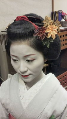 geisha-kai:  Maiko Katsutomo for November 2014 - custom maple