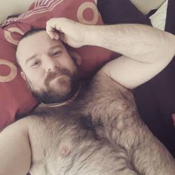 biversbear-free-gay-bear-porn:  largeman8: Follow me and I’ll
