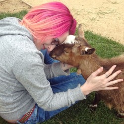 lost-lil-kitty:  I love goats. This baby gave me cuddles for