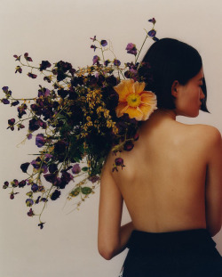 bienenkiste:“Flower Nation”. Photographed by Felicity Ingram