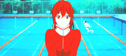 ♕ The Lovely Robin