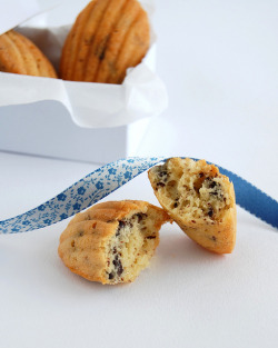 forevernomz:  Choc chip madeleines / Madeleines com gotas de chocolate by Patricia Scarpin on Flickr.  OH SHIT MADELEINES MY WEAKNESS