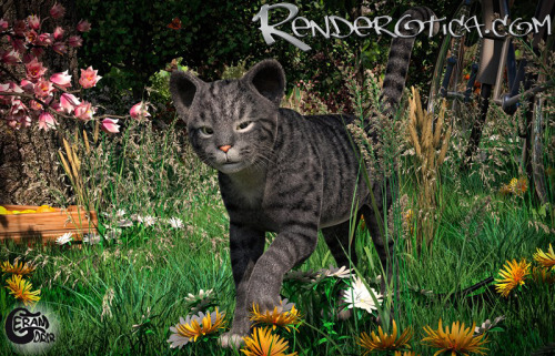 Renderotica SFW Image SpotlightsSee NSFW content on our twitter: