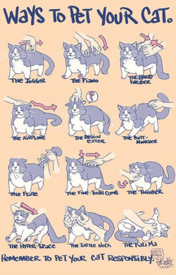 srsfunny:How To Pet Your Cat
