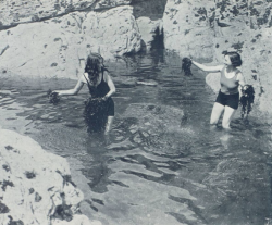 yesterdaysprint:Seaweed fight,  Devon, England, 1930