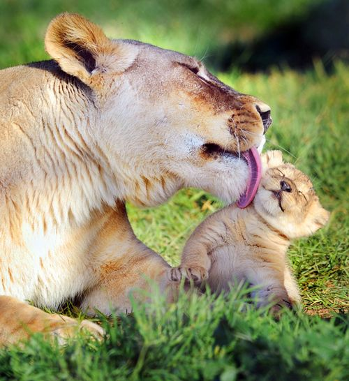 C’mon, Mom, not in front of the guys!  ;)