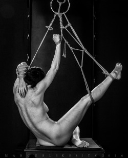 marcuslikesit:  Photo and Tying by Marcuslikesit  