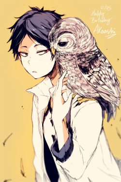 pyayaya:  Happy birthday Akaashi!!!  whispers why are you so