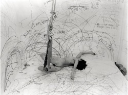 grupaok: Carolee Schneemann, Up to and Including Her Limits,