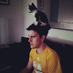 catsbeaversandducks:  Cat Hats All photos via Reddit. Please