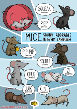 lubrican:  memrise:  James Chapman’s animal sounds illustrations