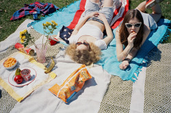 flawhs:  Bambi / Indie blog