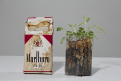 annacbodell:  “Urban Talisman” Each cigarette was individually